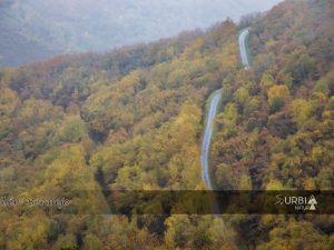 Carretera de montaña de Lugo seperteando entre un hermoso y colorido bosque otoñal y una espesa niebla