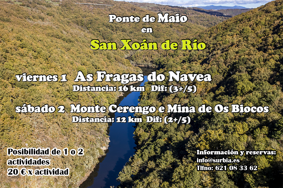 cartel finde san