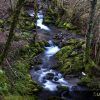 El río Queixeliña es un bello río de montaña que nace en O Acevral da Senra y desciende vertiginosamente, en su corto recorrido, entre un espeso bosque autóctono hasta su desembocadura en el embalse de Chandrexa